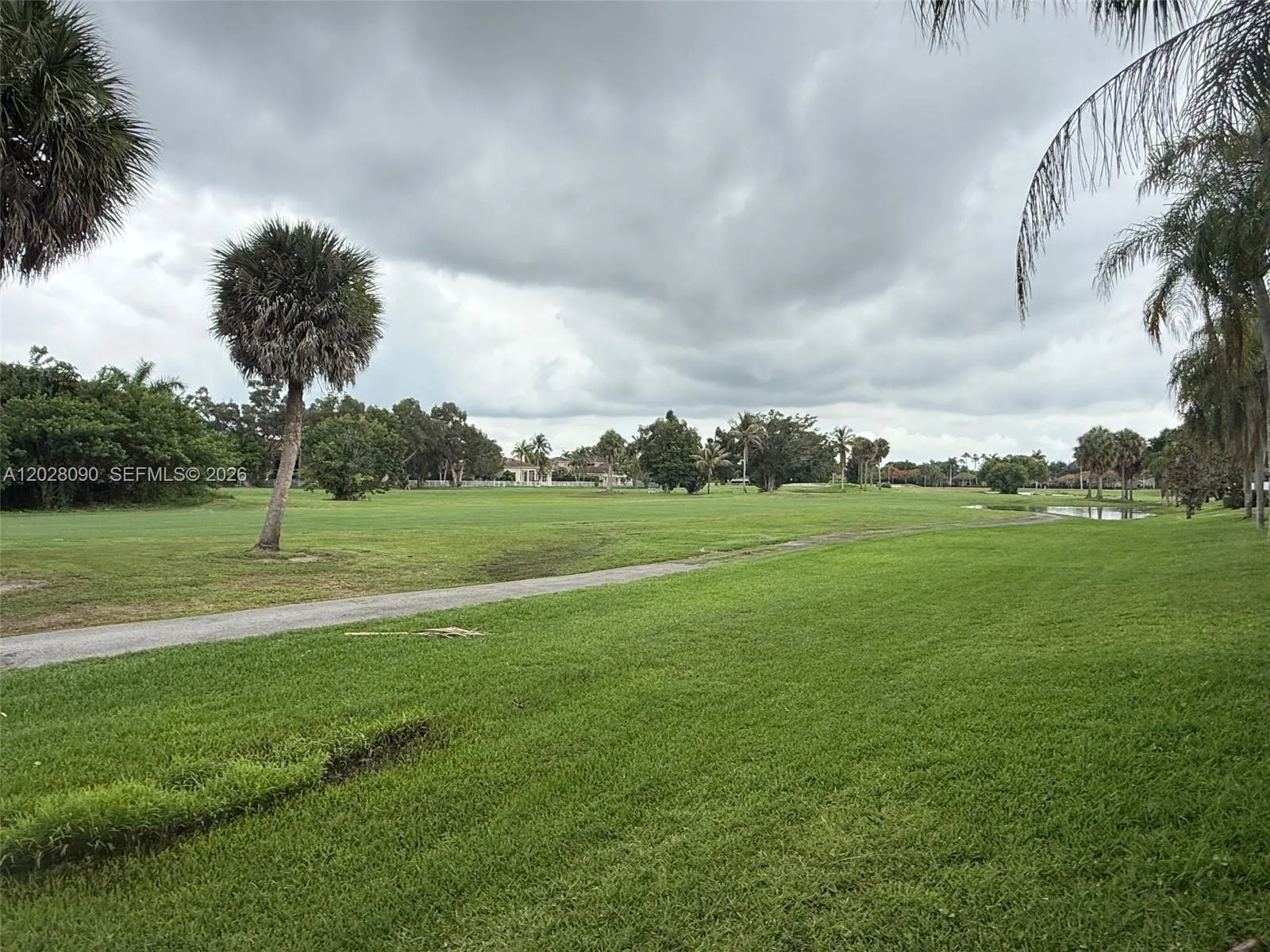 Golf View