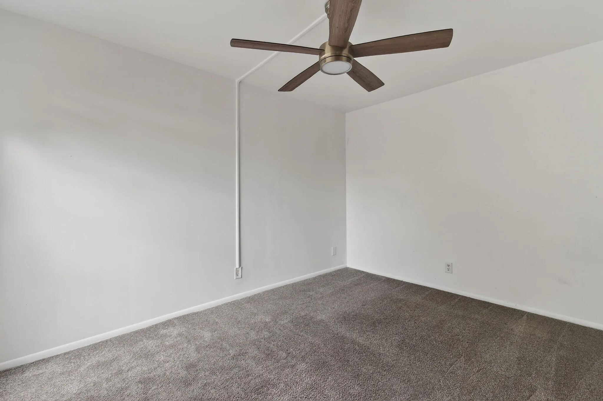 Property photo 56