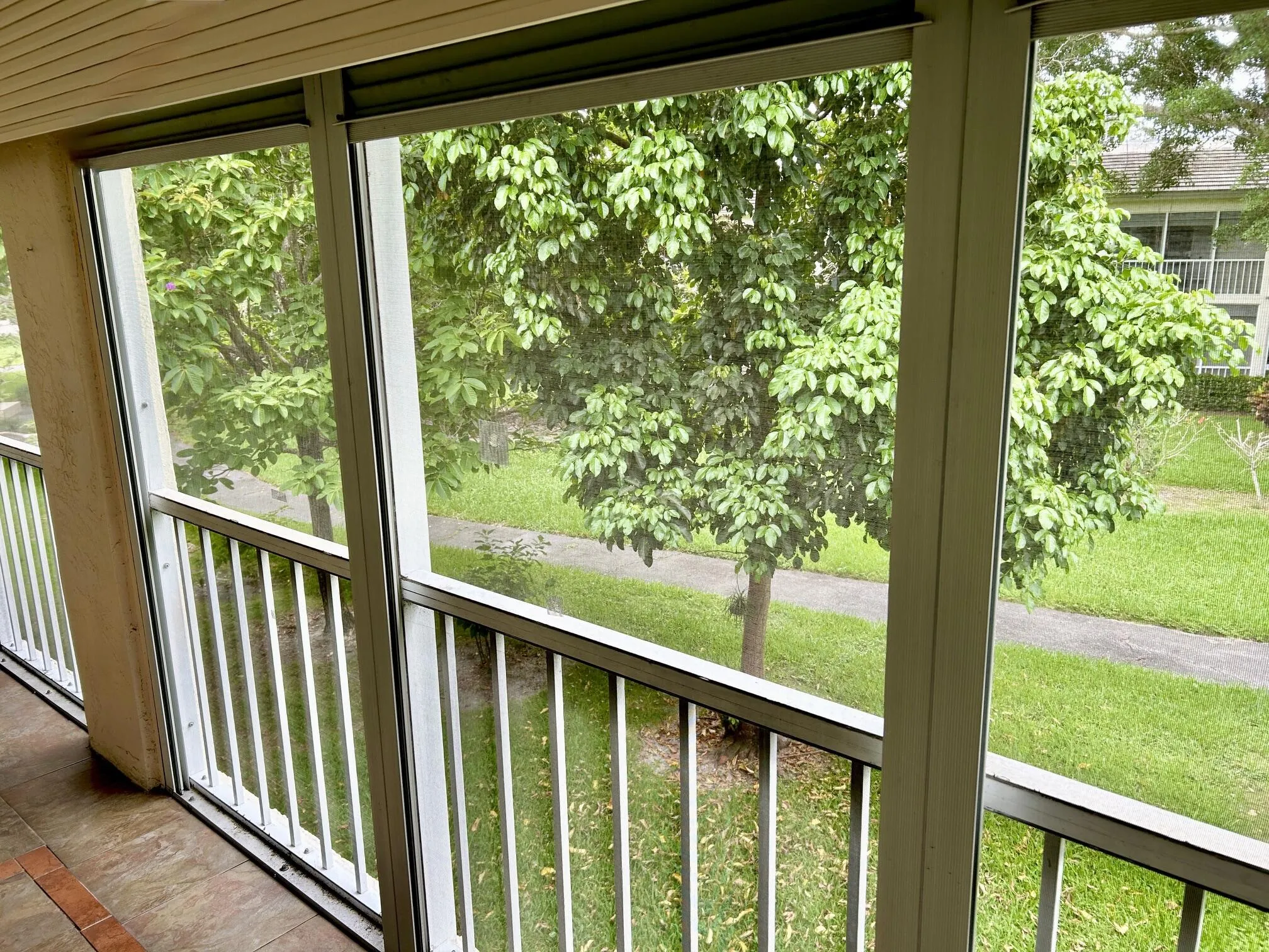 VIEW FROM PATIO