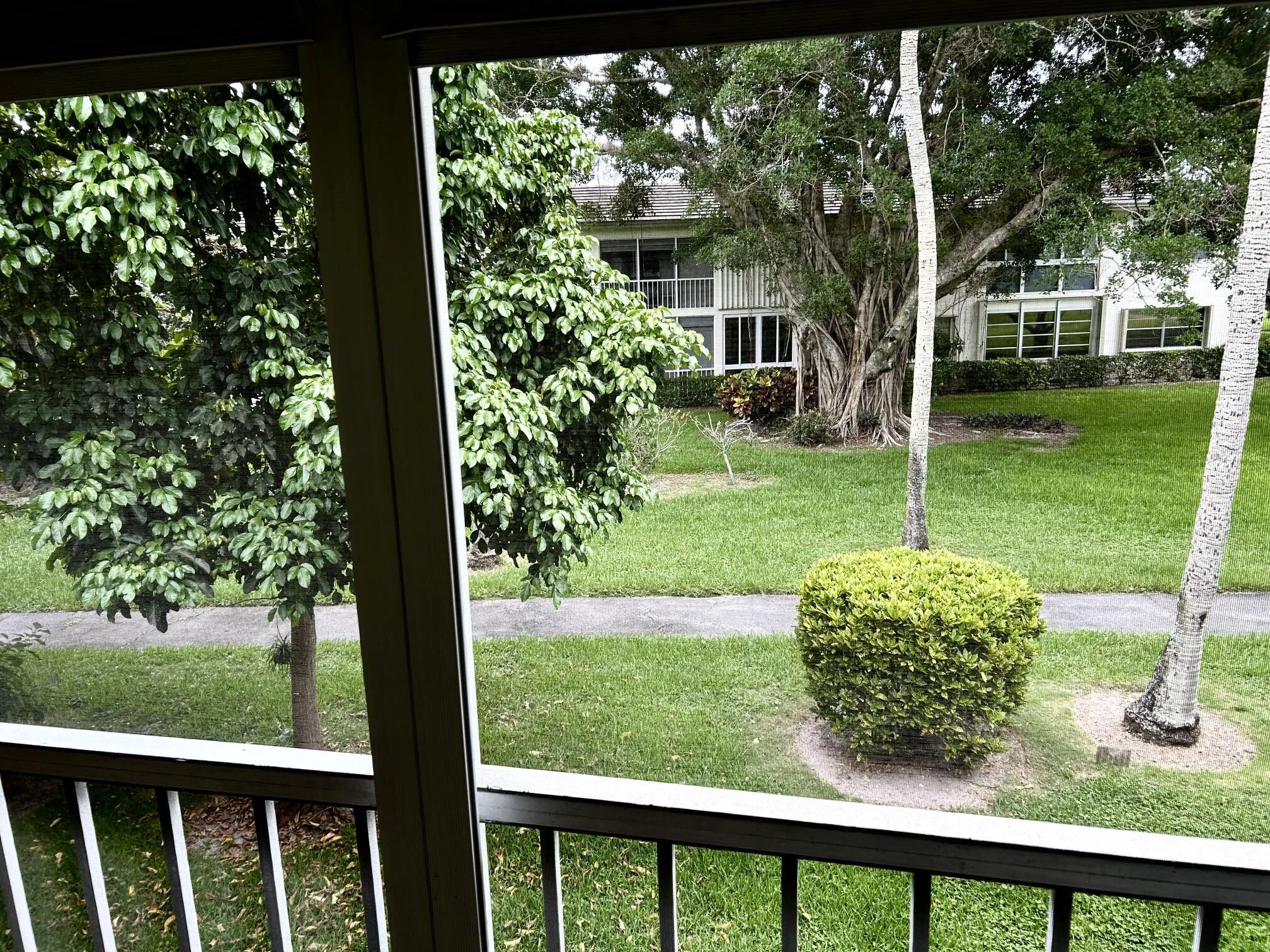 VIEW FROM PATIO