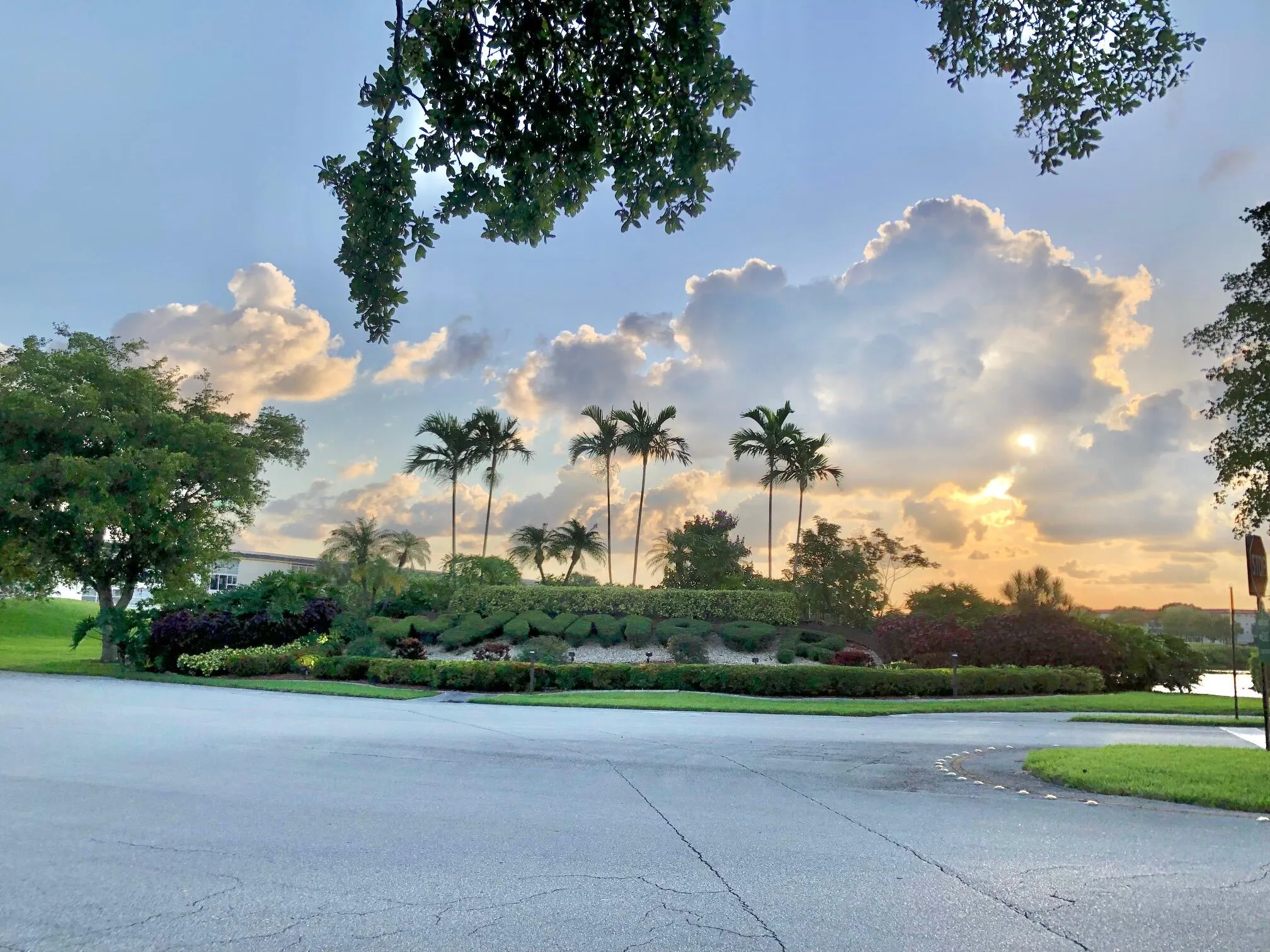 The Wynmoor grounds are just beautiful.