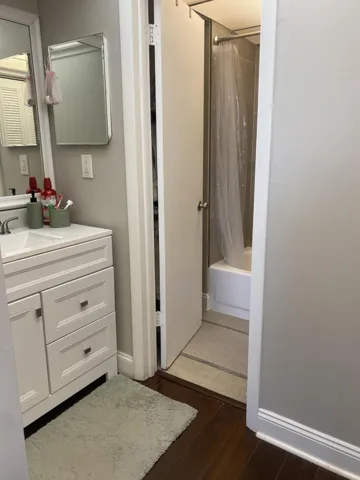 Vanity Area