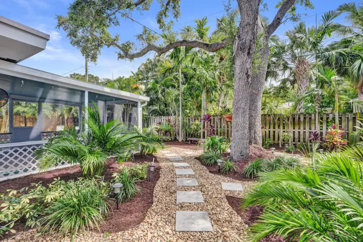 Tropical Backyard.