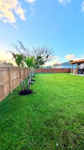 backyard 2