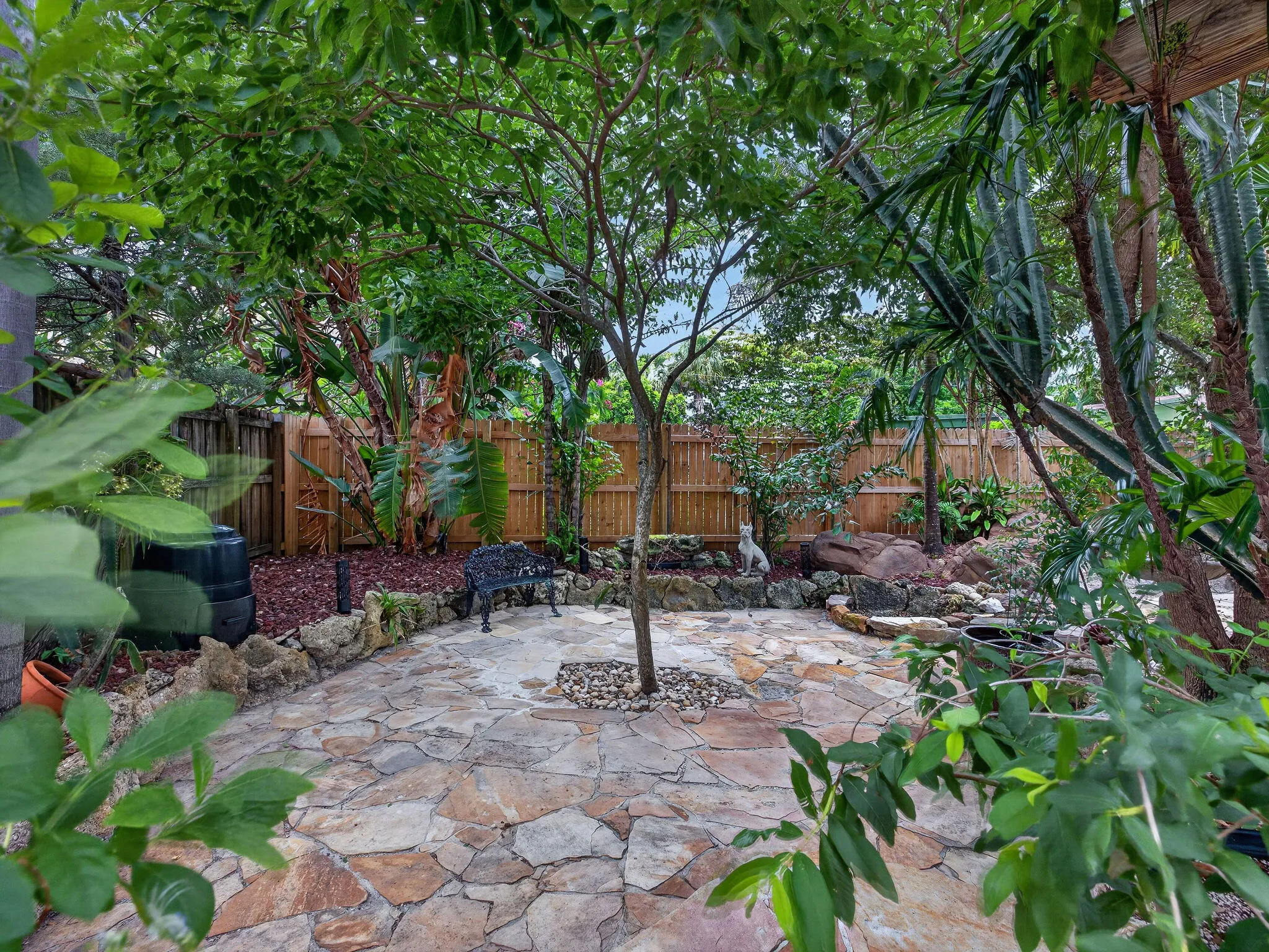 Back Yard