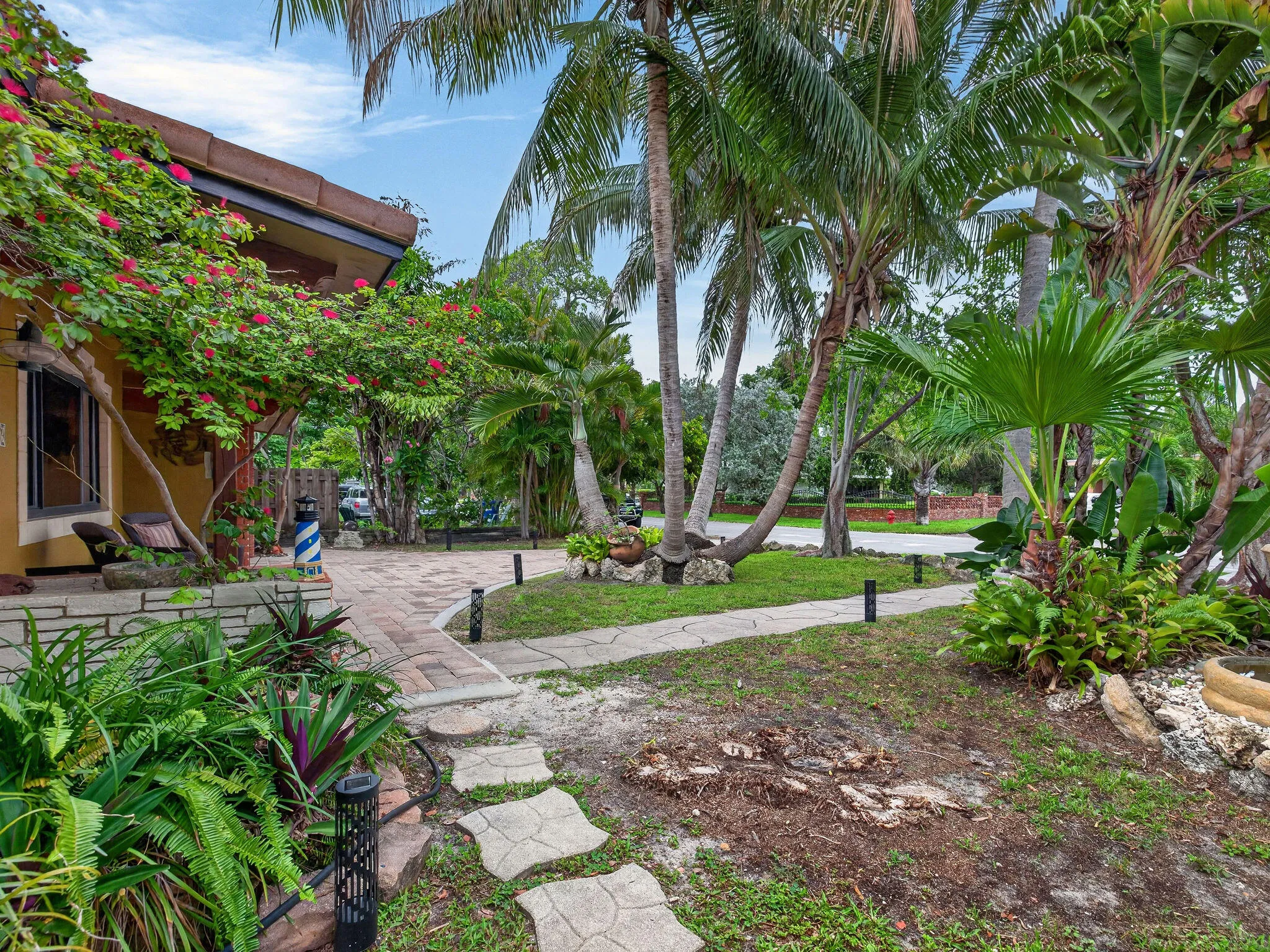 Driveway and Front Yard