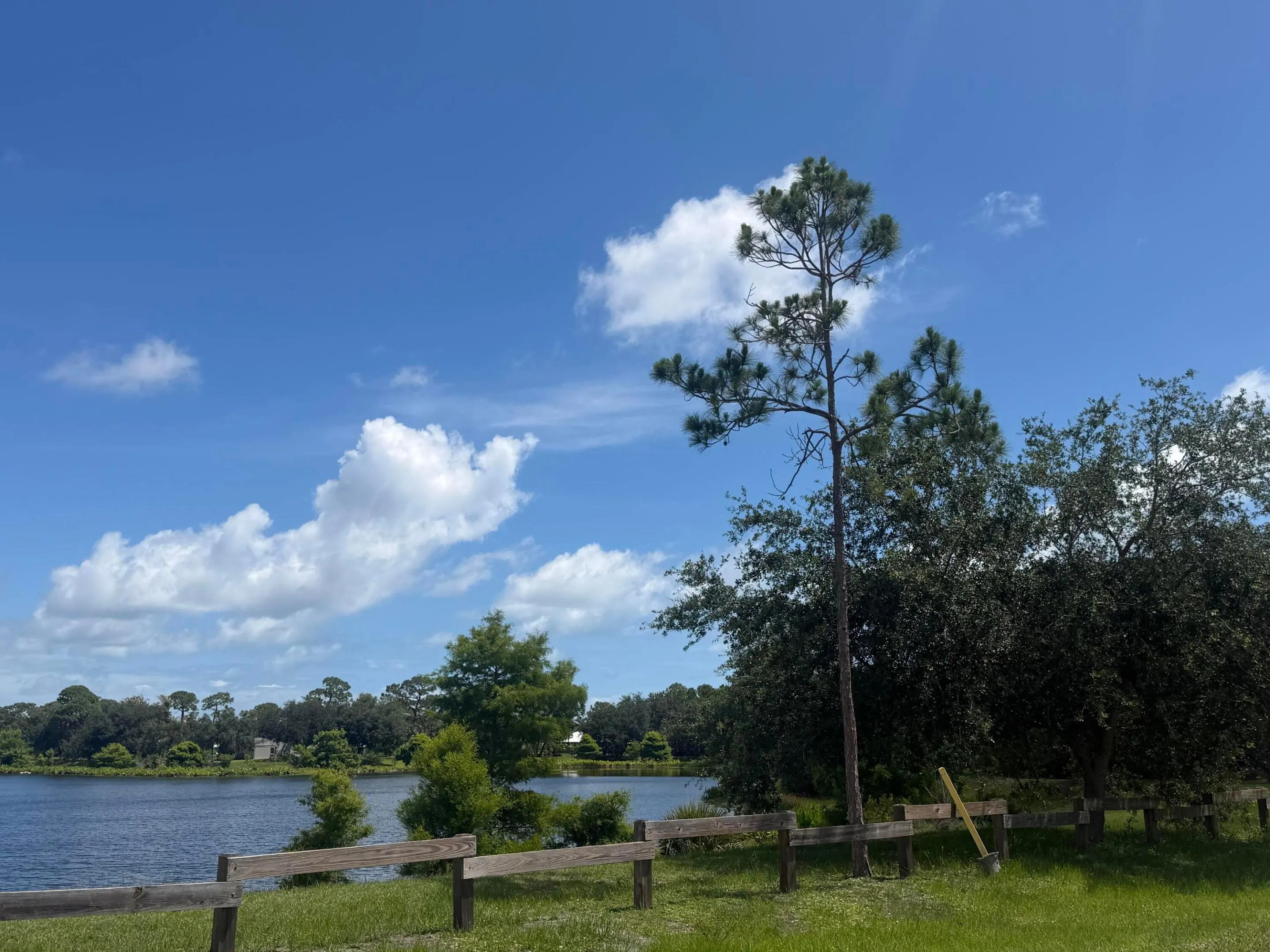 Property photo 48