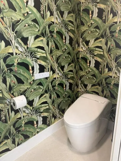 Primary Bath Toto toilet