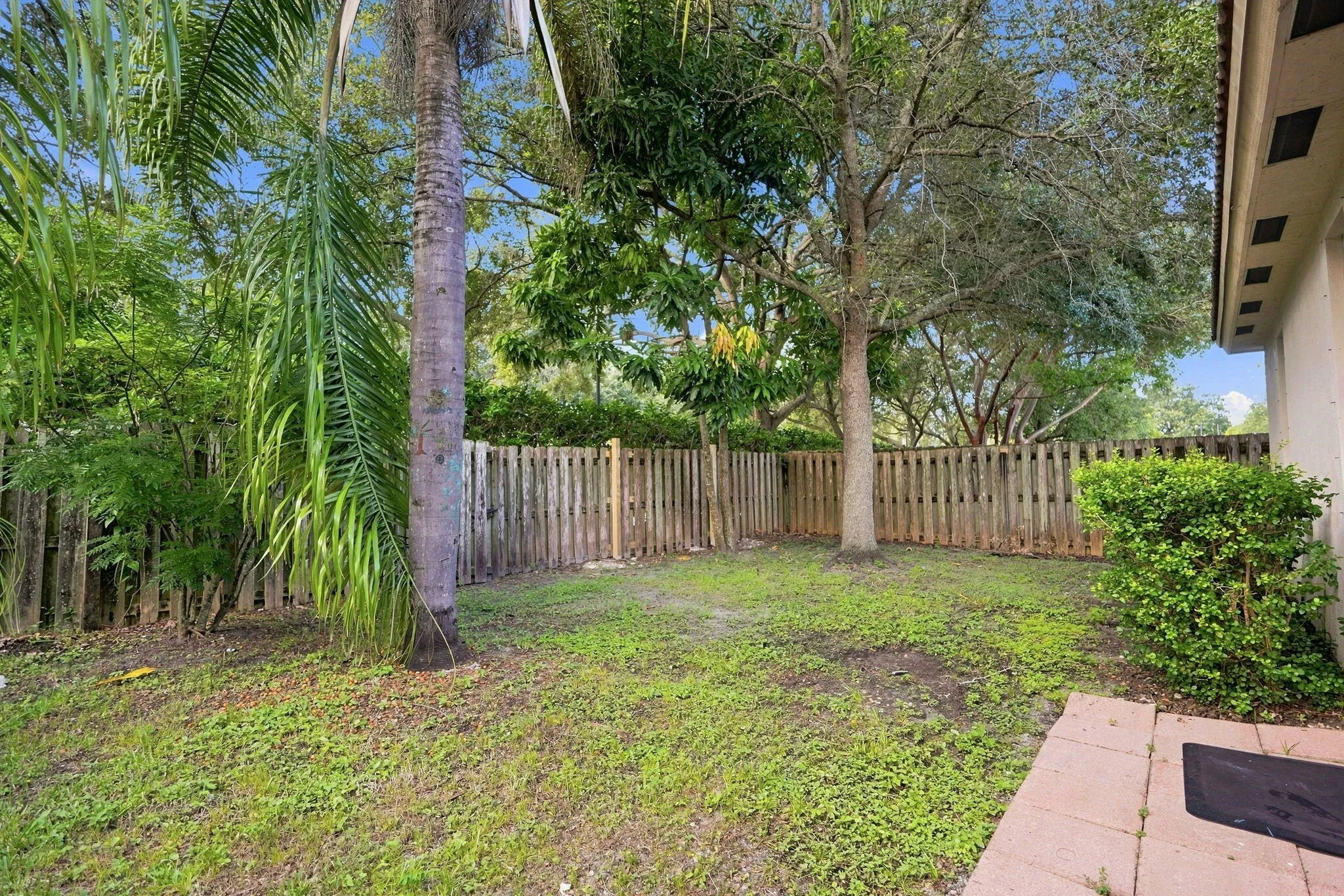 30-web-or-mls-DSC07142