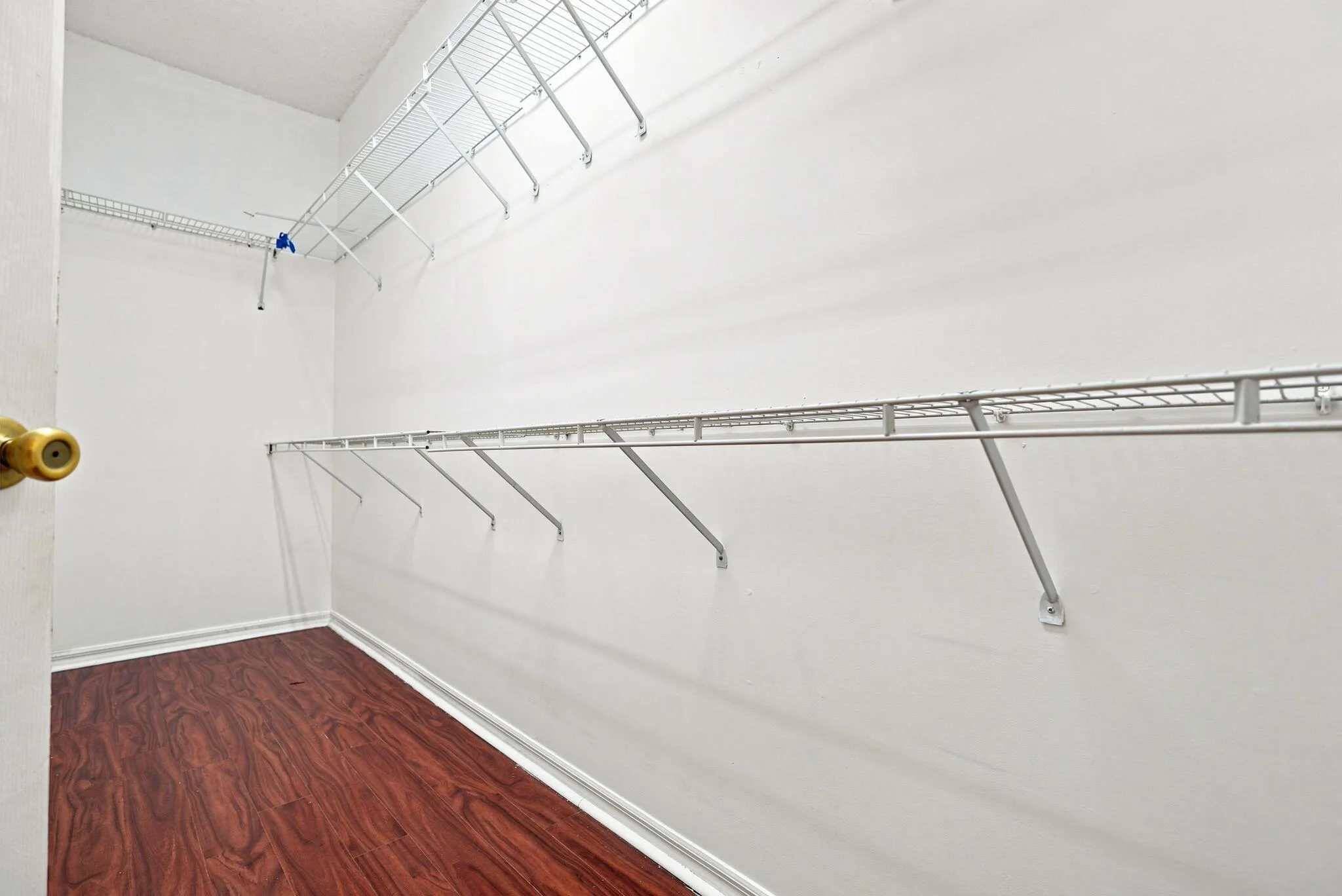 23-web-or-mls-DSC07121