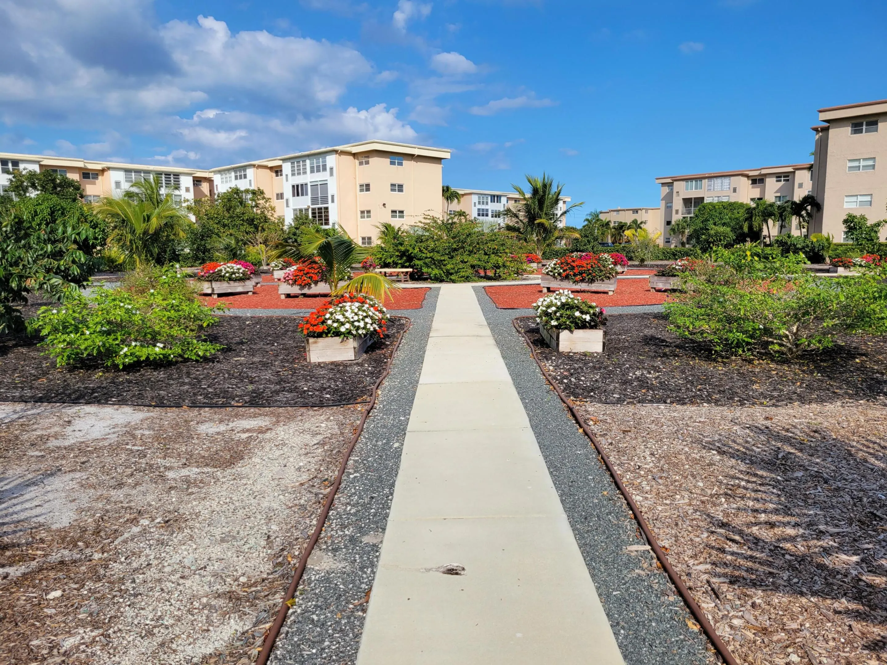 Garden Path (4)
