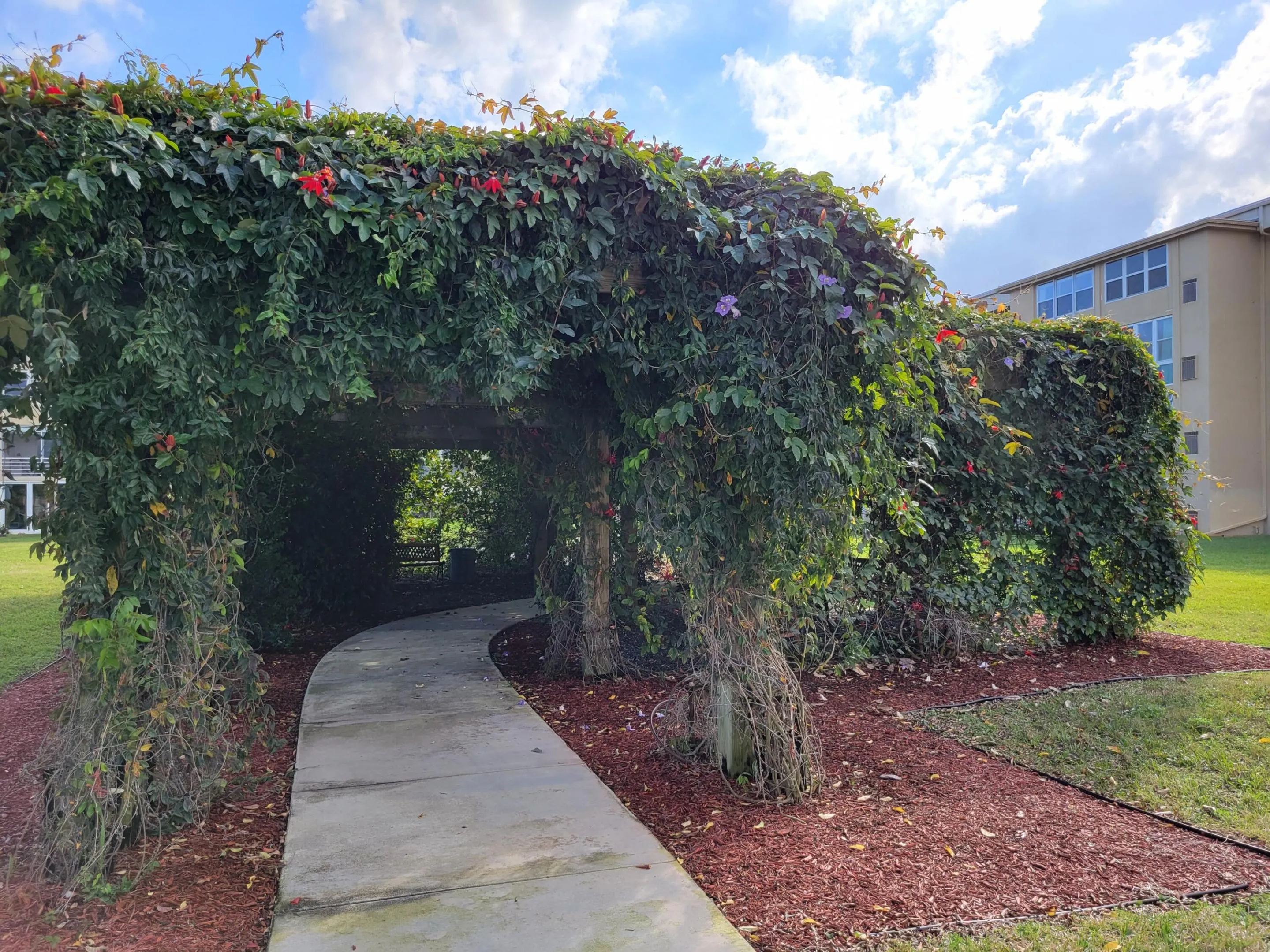 Gazebo Entrance