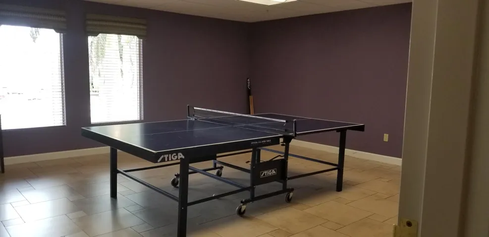 Table Tennis