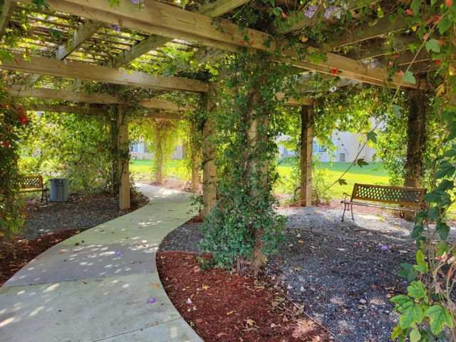 Under the Gazebo