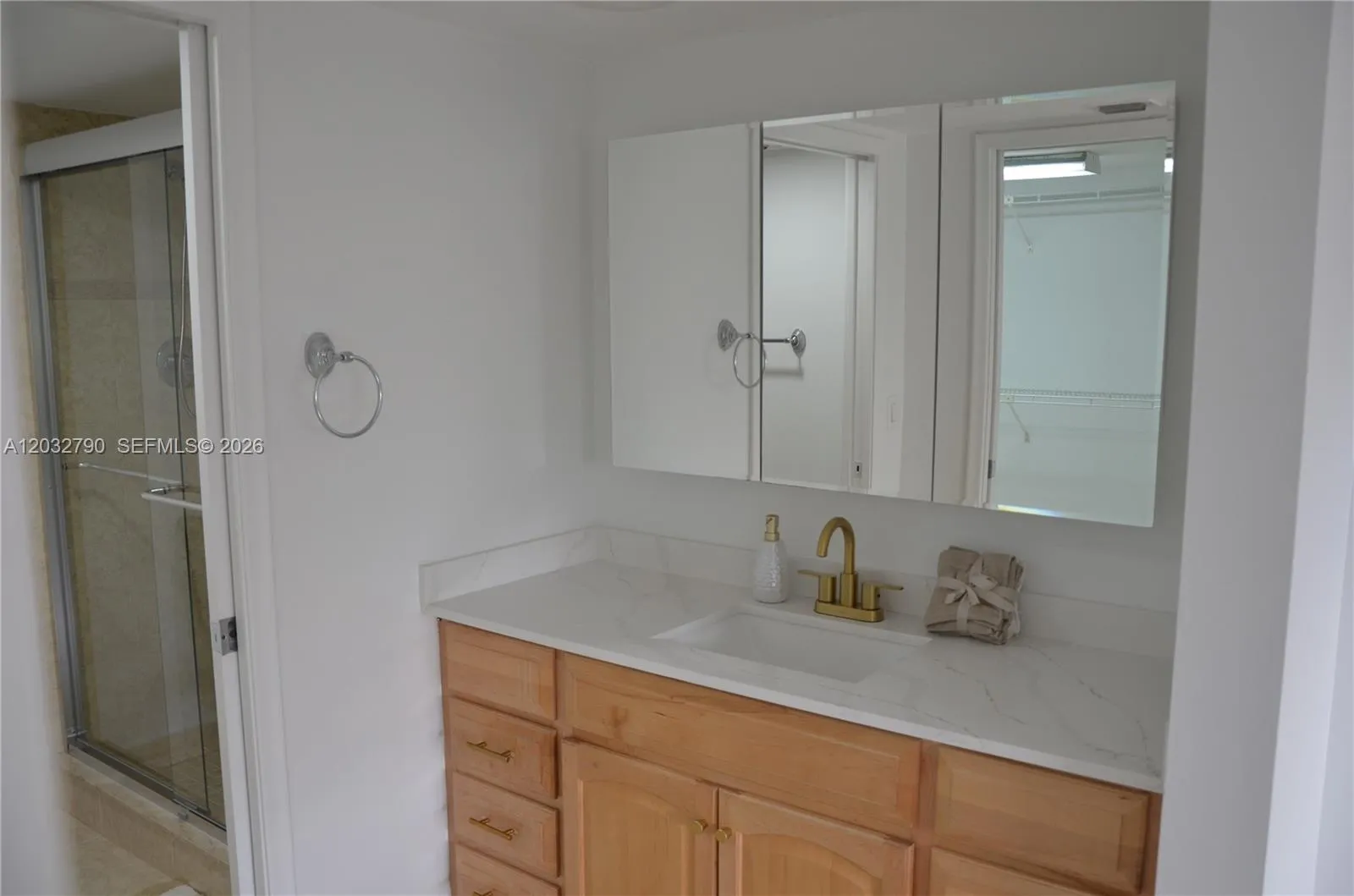 Master Bathroom Dressing area
