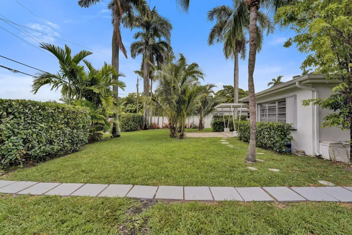 Backyard View