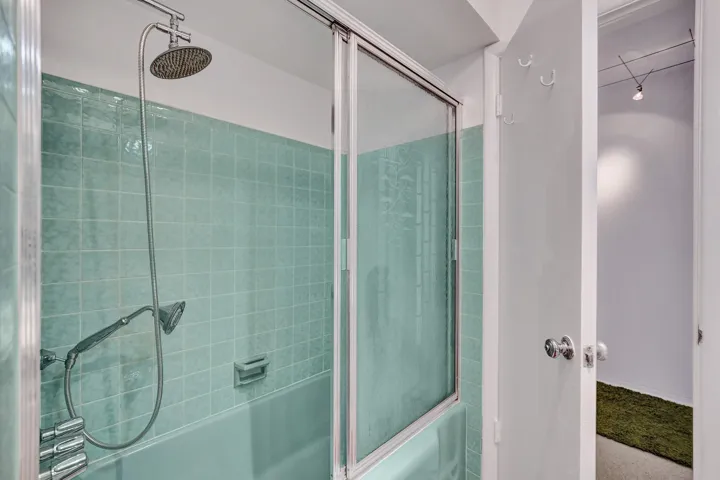 Guest Shower/Tub
