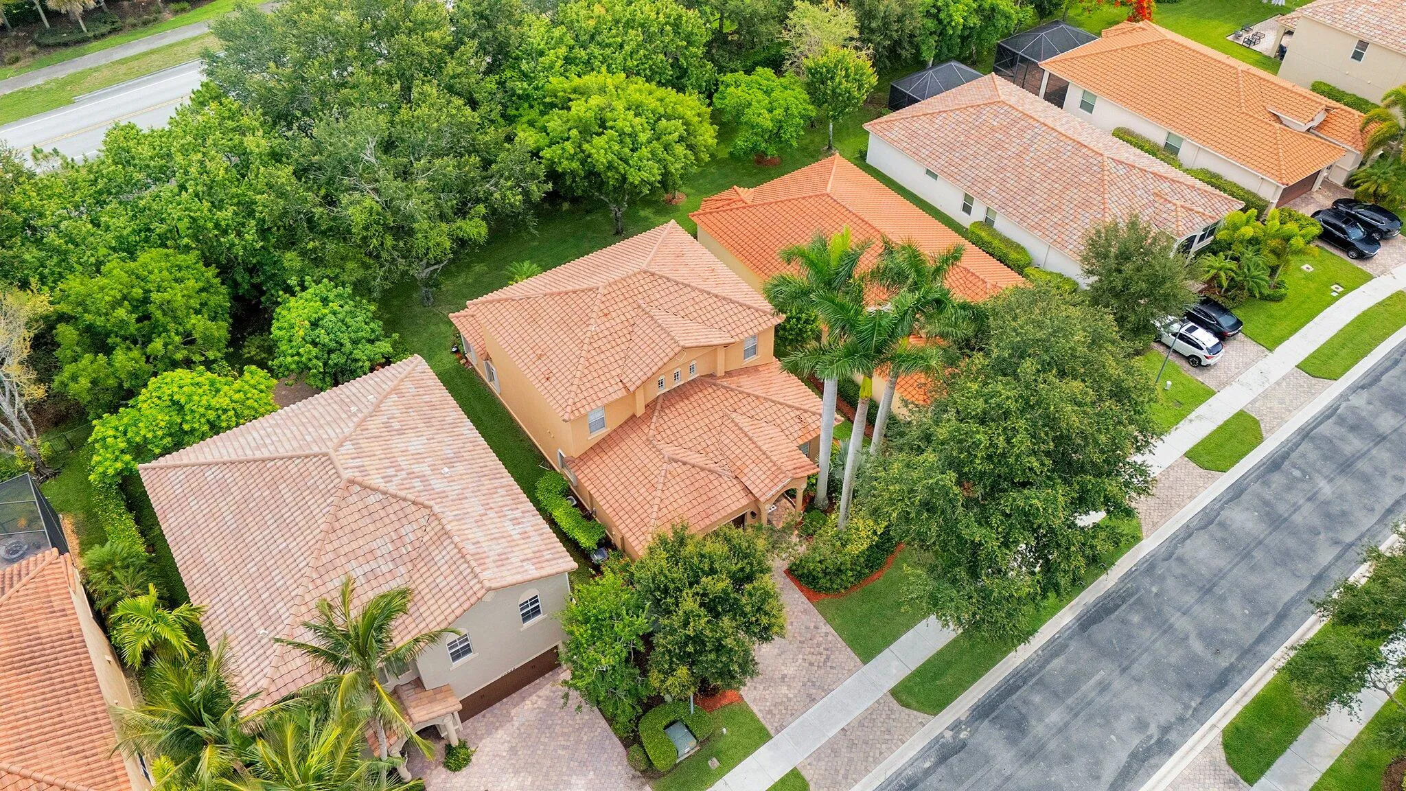 Aerial 1