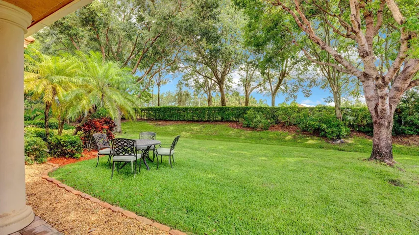backyard 2