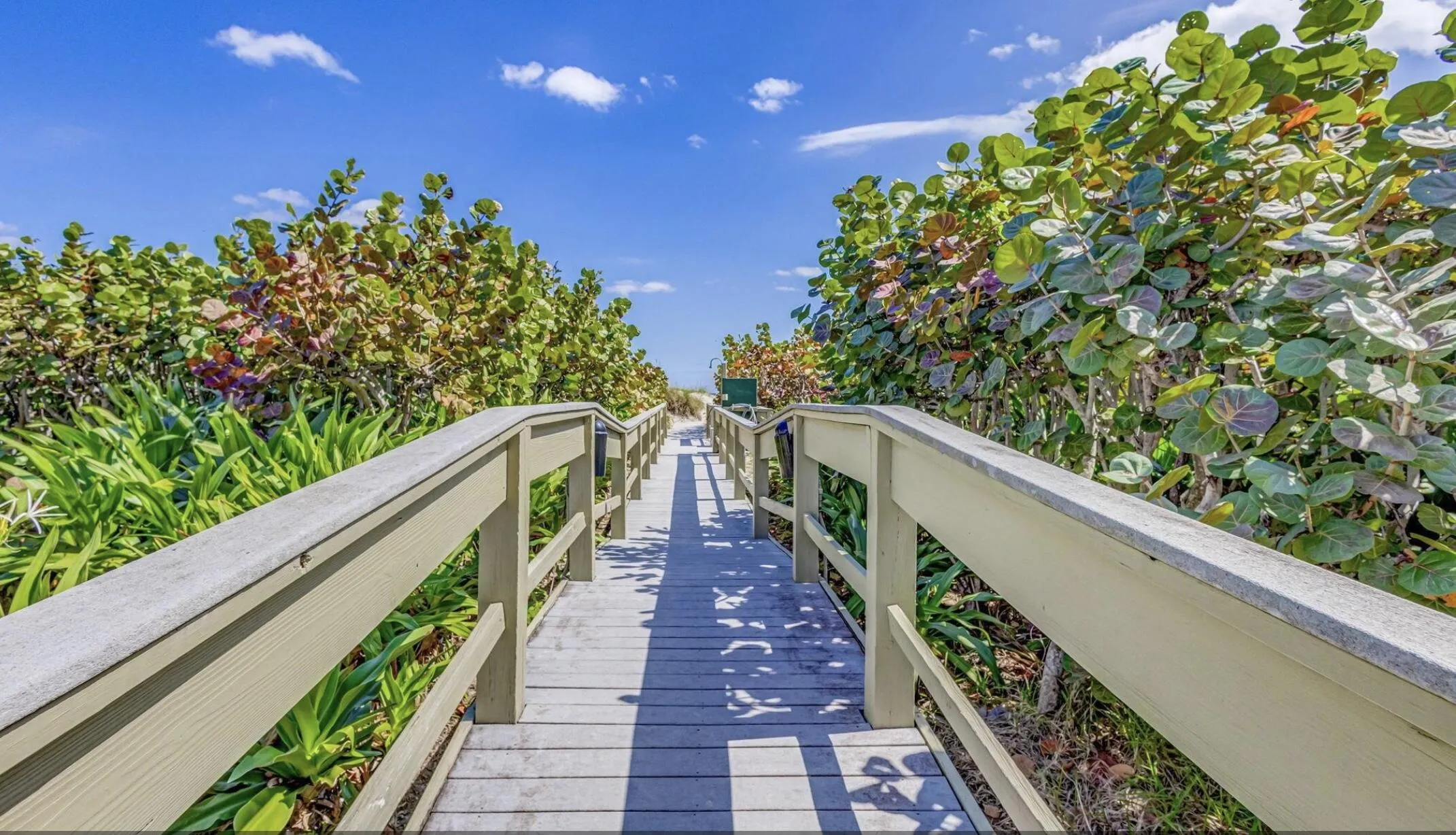 Boardwalk to Beach