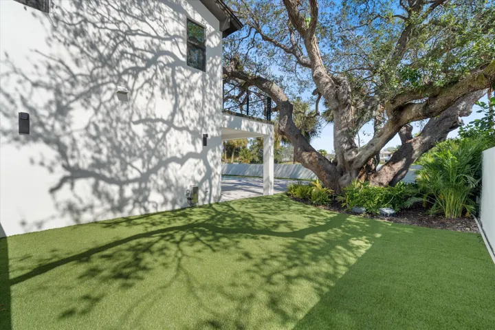 Side Yard
