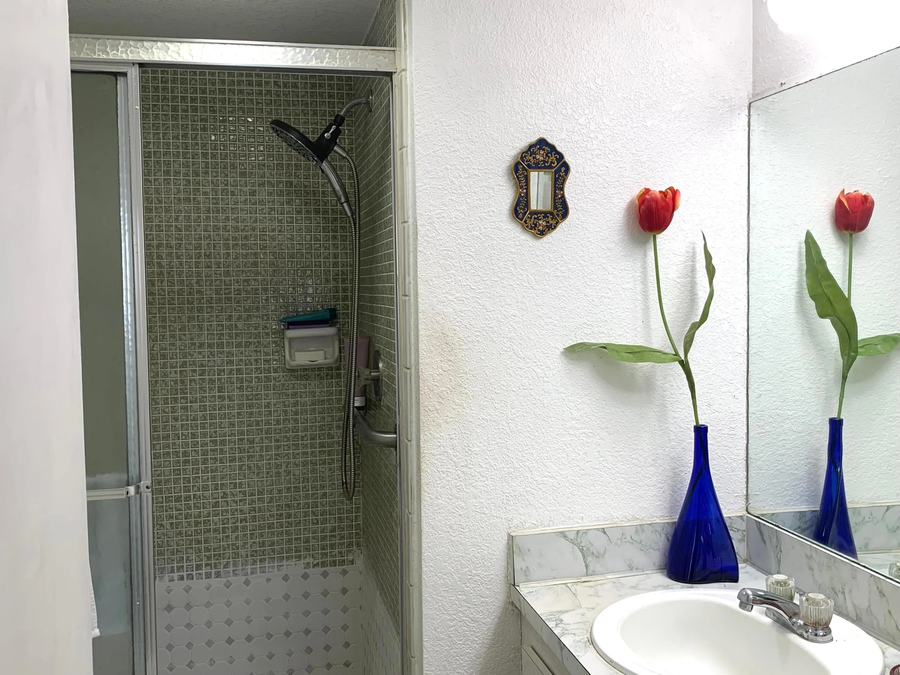 IMG_2898 bagno M