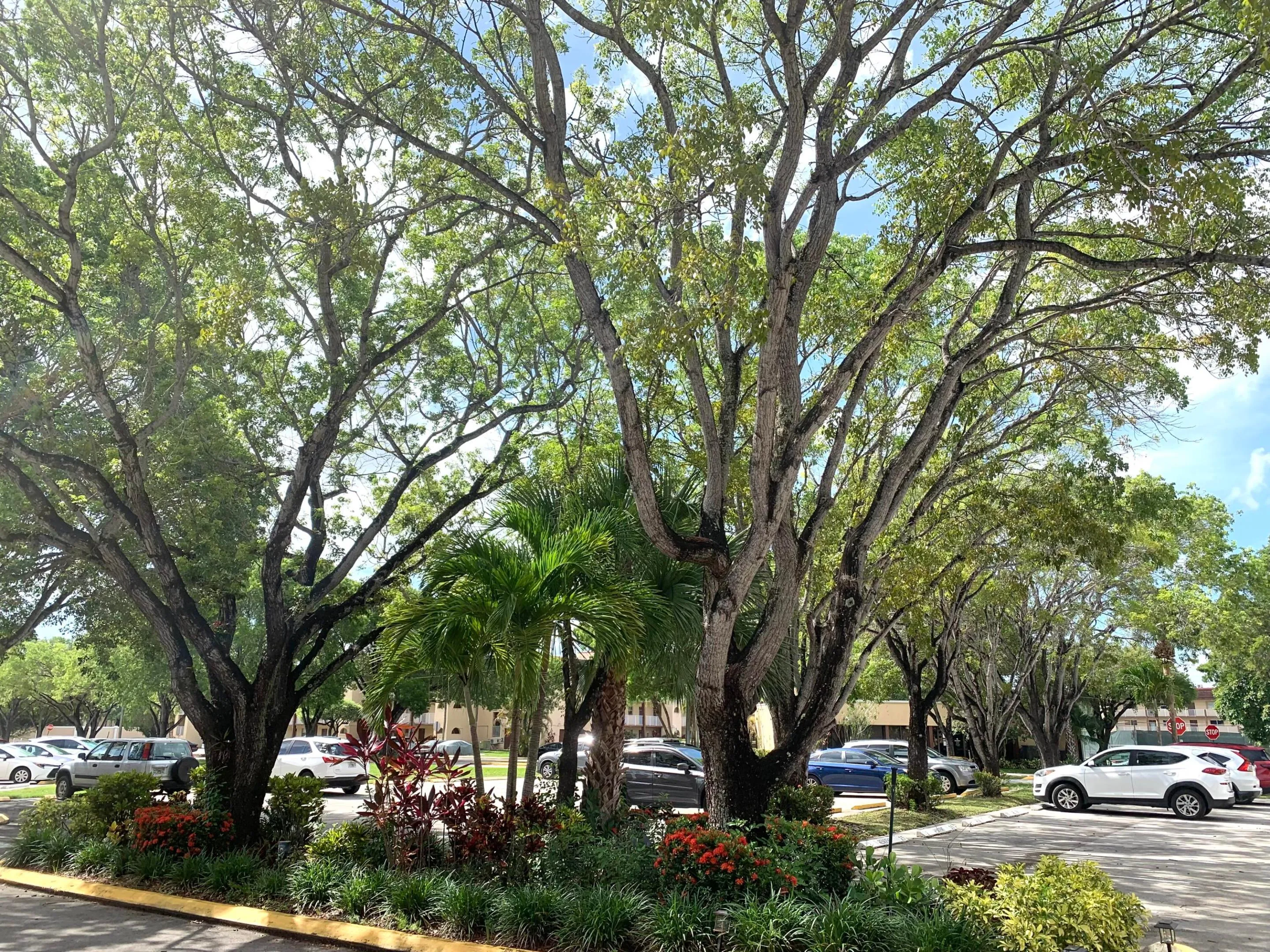 IMG_2863 parking