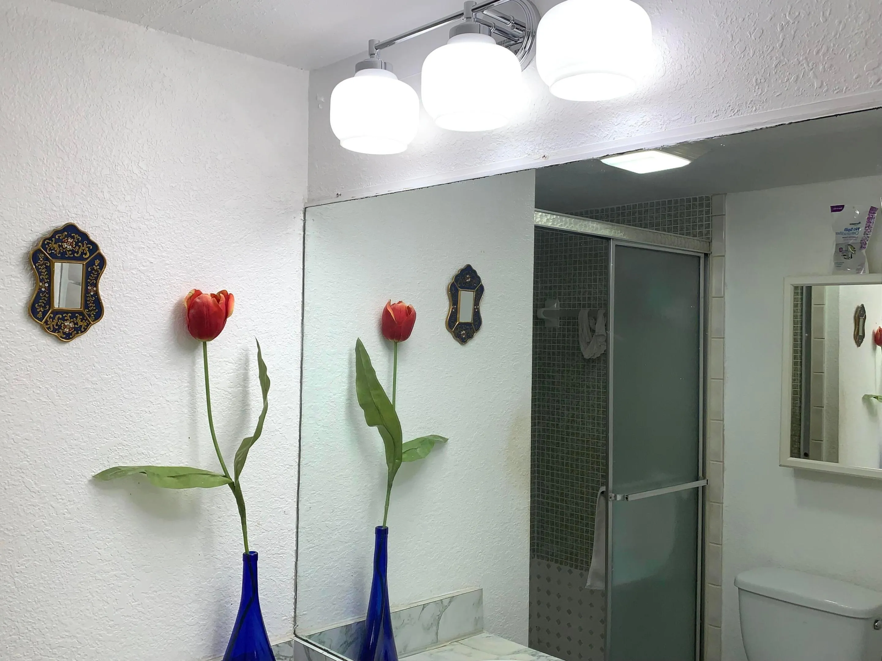 IMG_2900 Bagno M