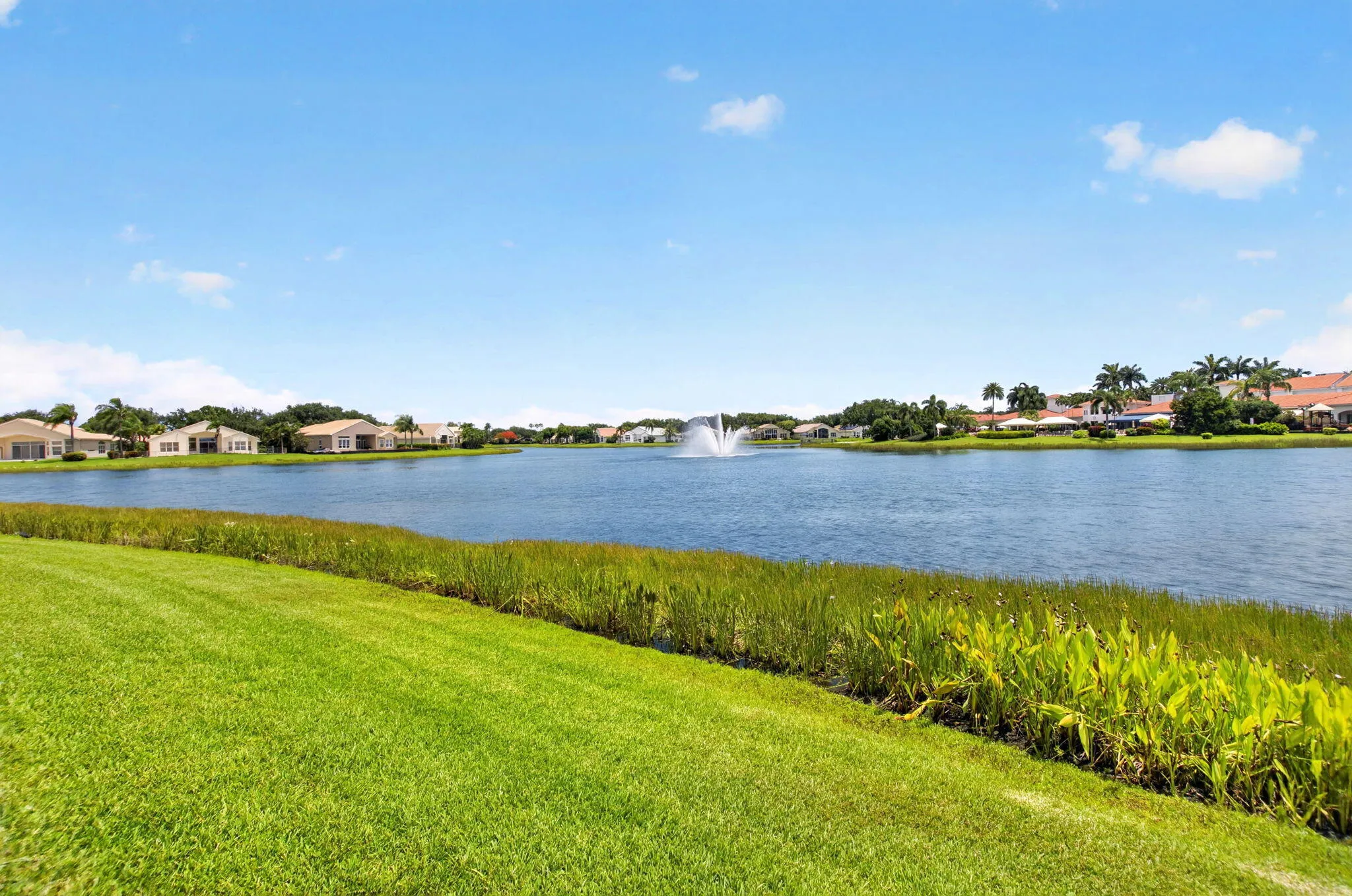 BACKYARD VIEW