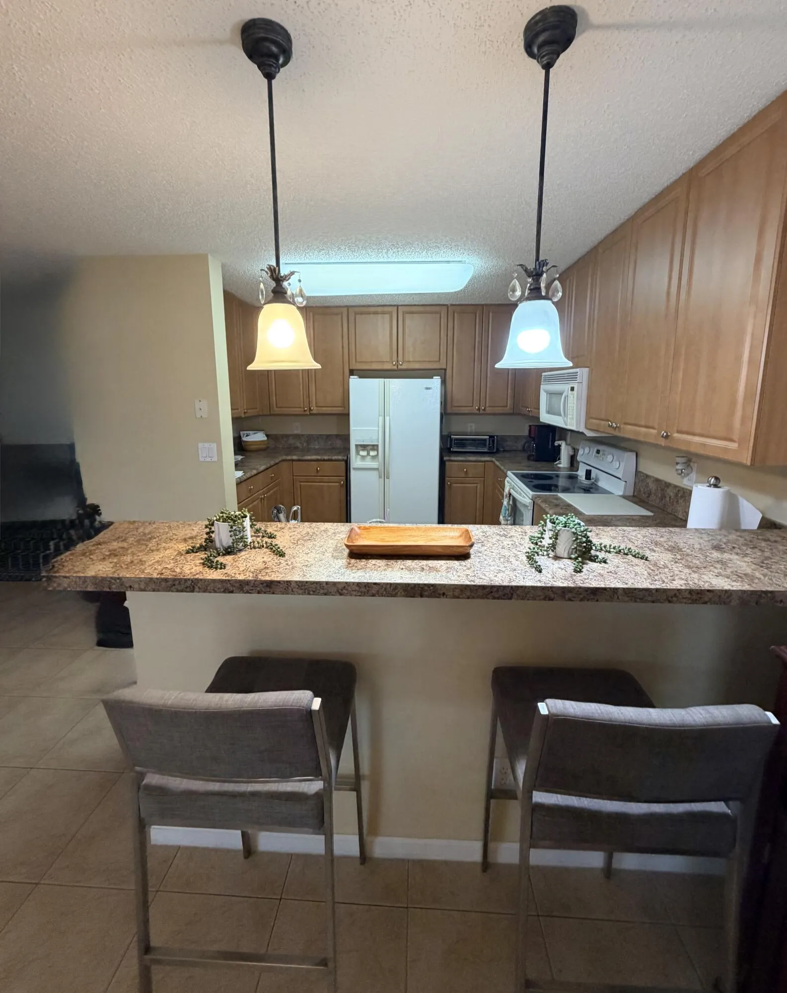 Kitchen/Bar Area