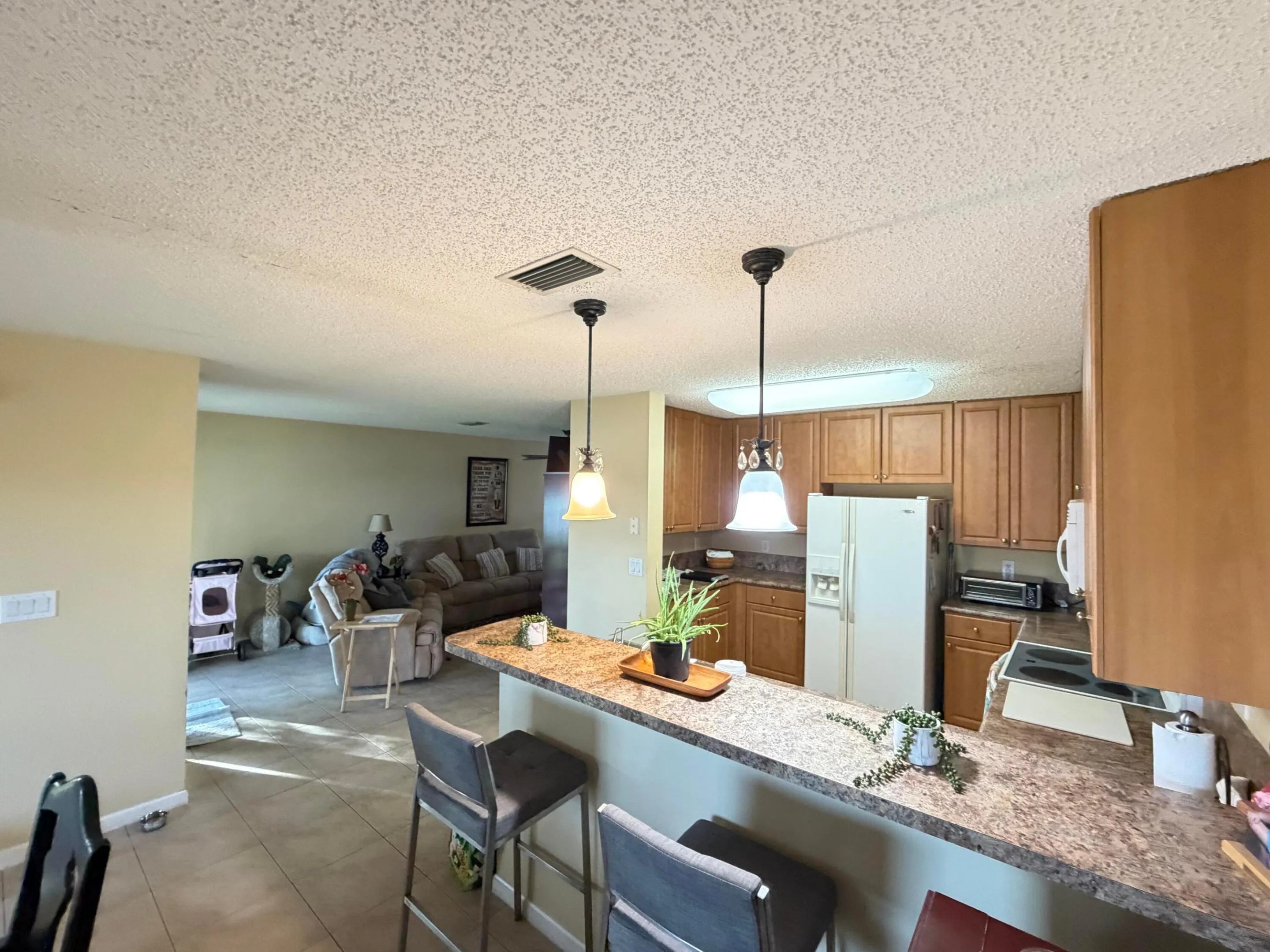 Bar-Kitchen Area