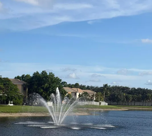 Back Yard view
