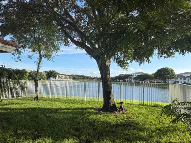 Back Yard view