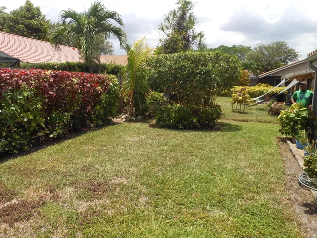 Back Yard View