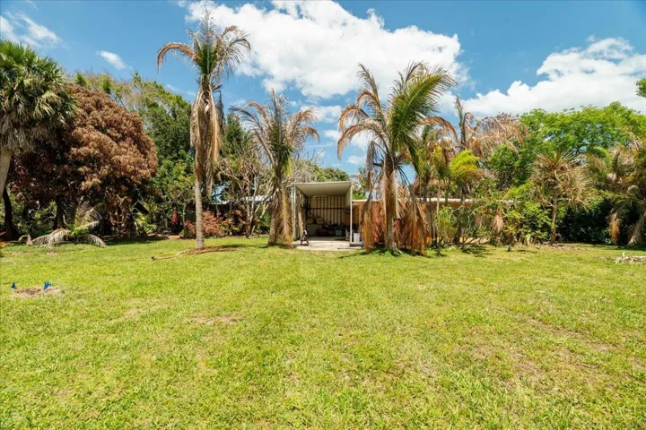 Backyard
