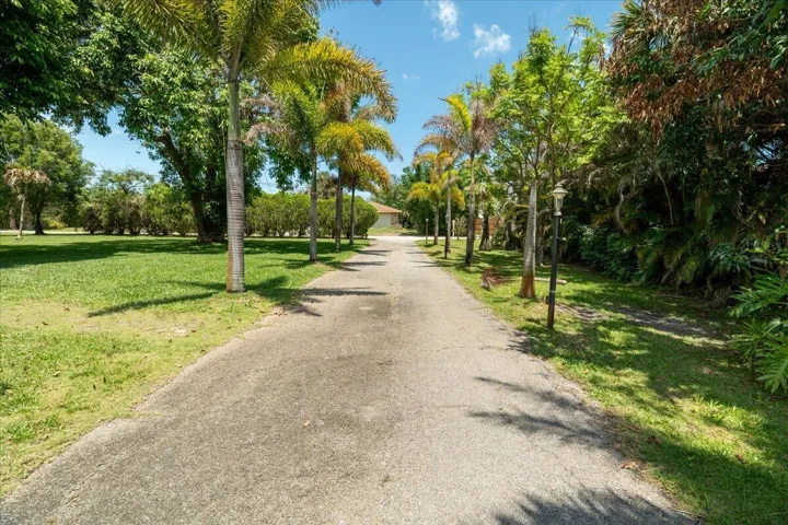 Driveway