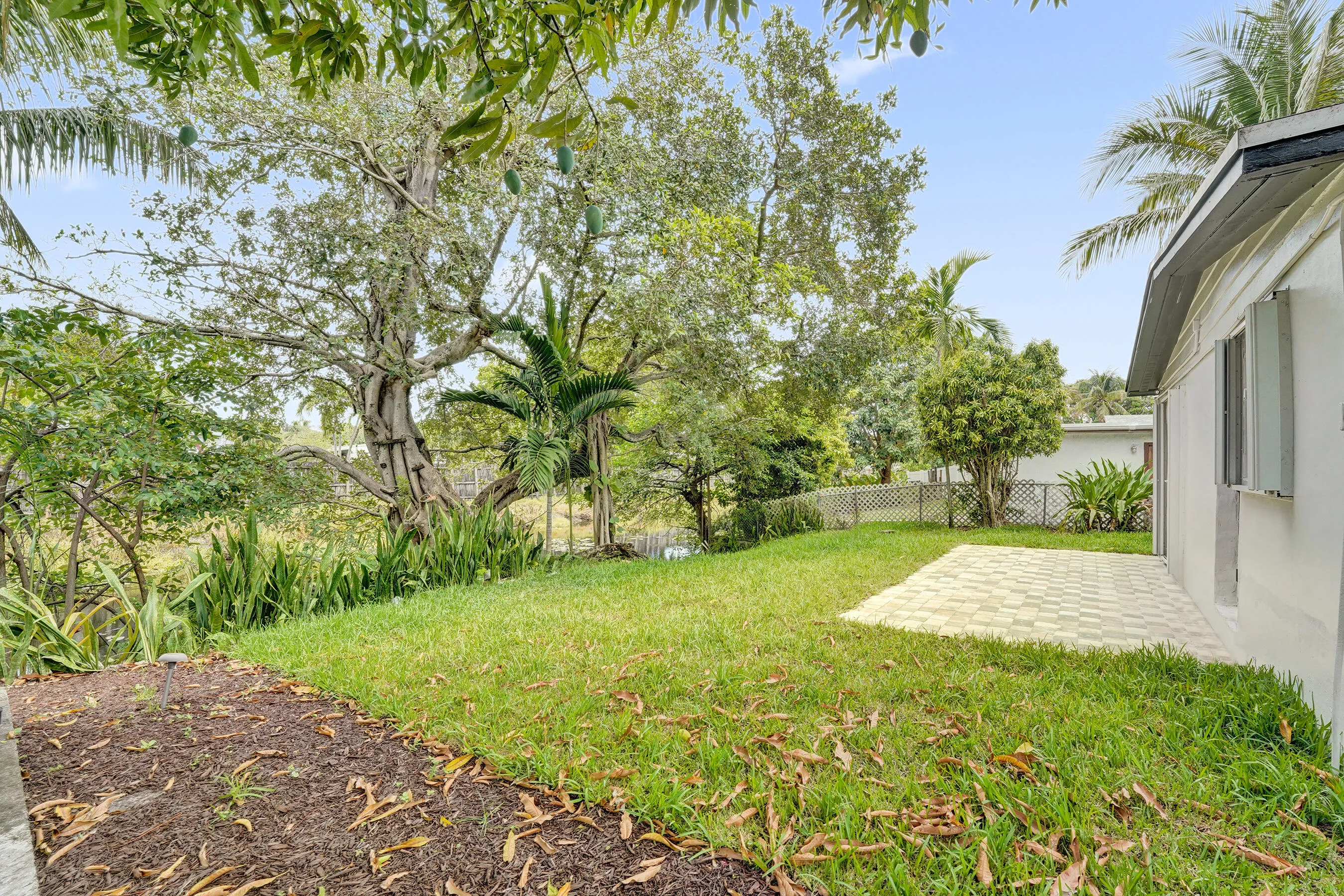 Backyard