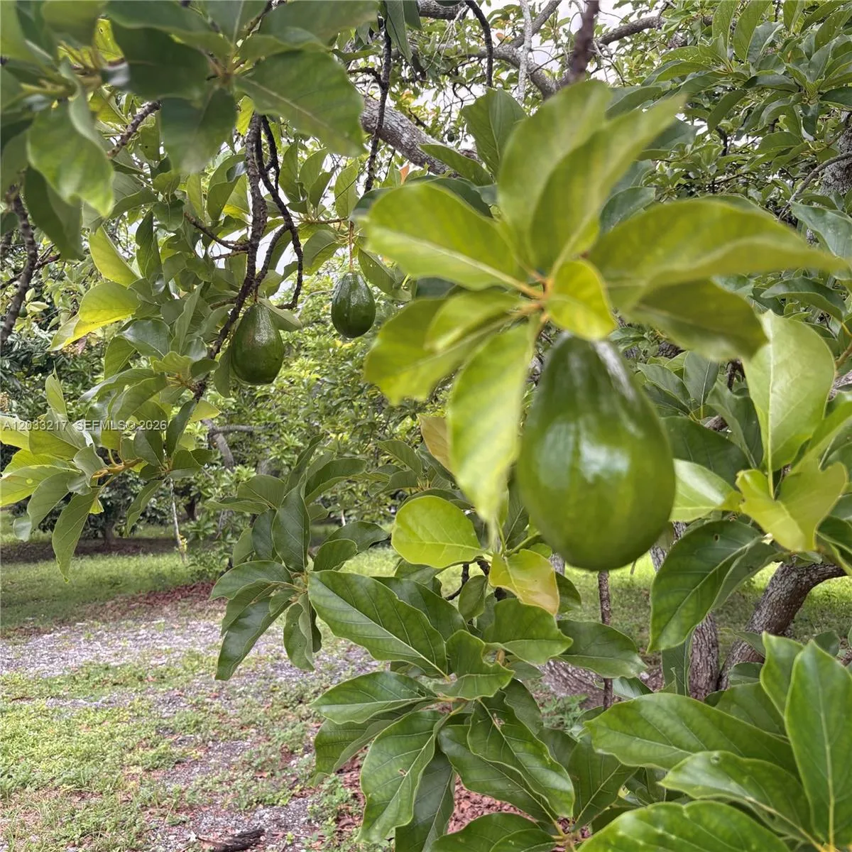 Property photo 24