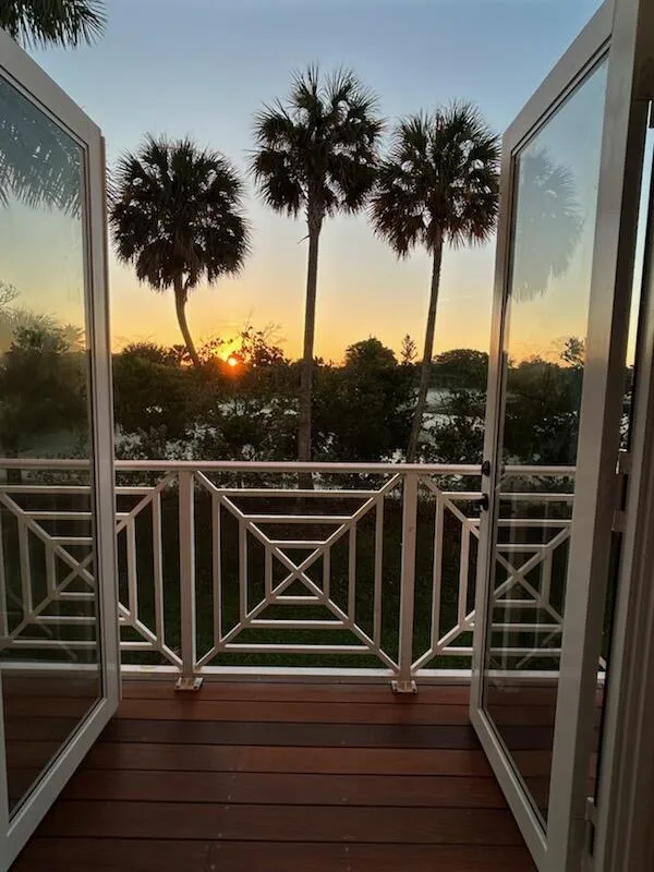 Open Door Palm trees deck sun