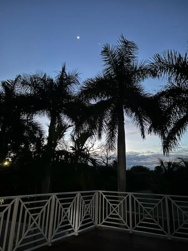 distant Moon with Palm trees corner of d