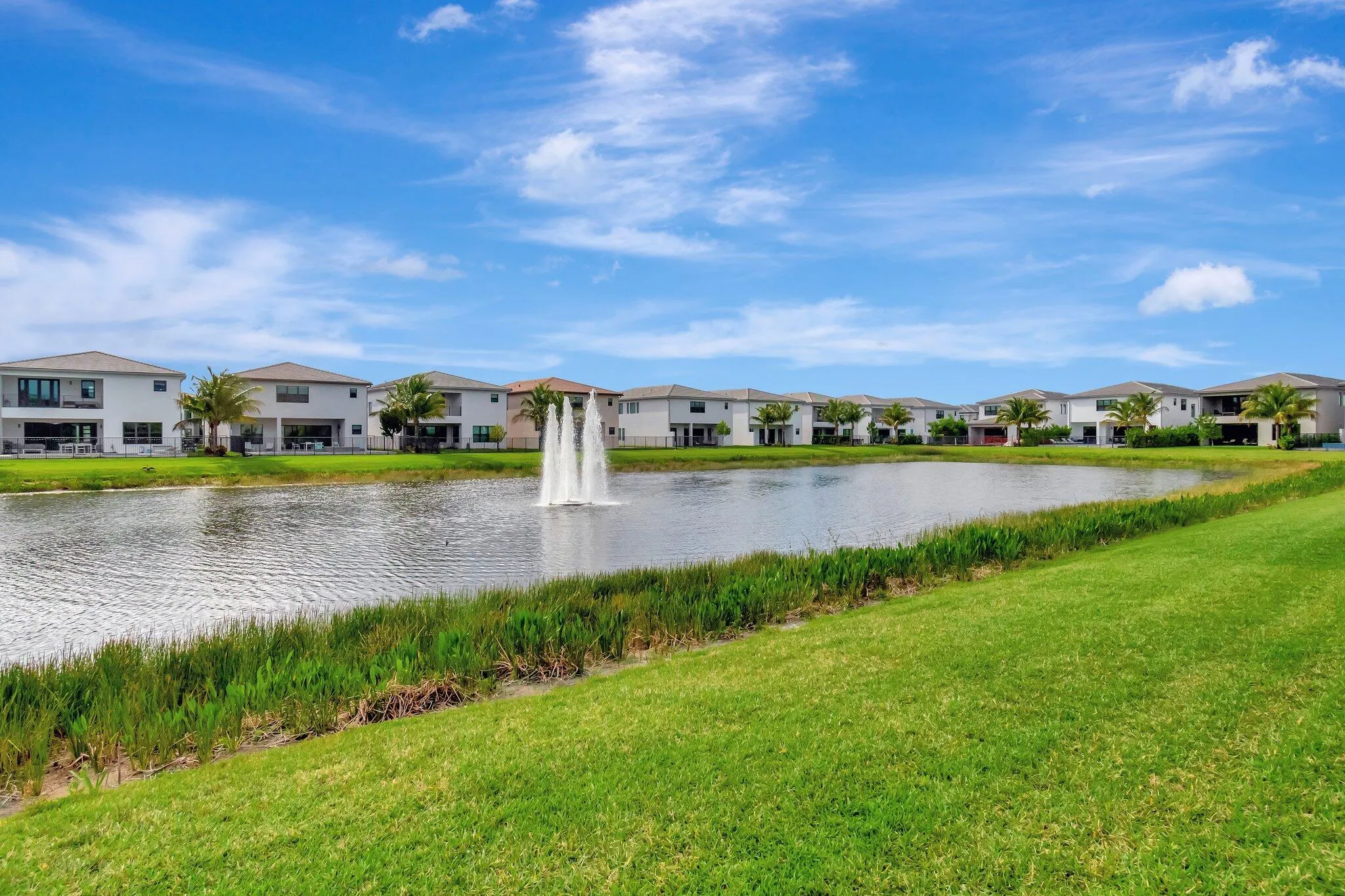 Lake view