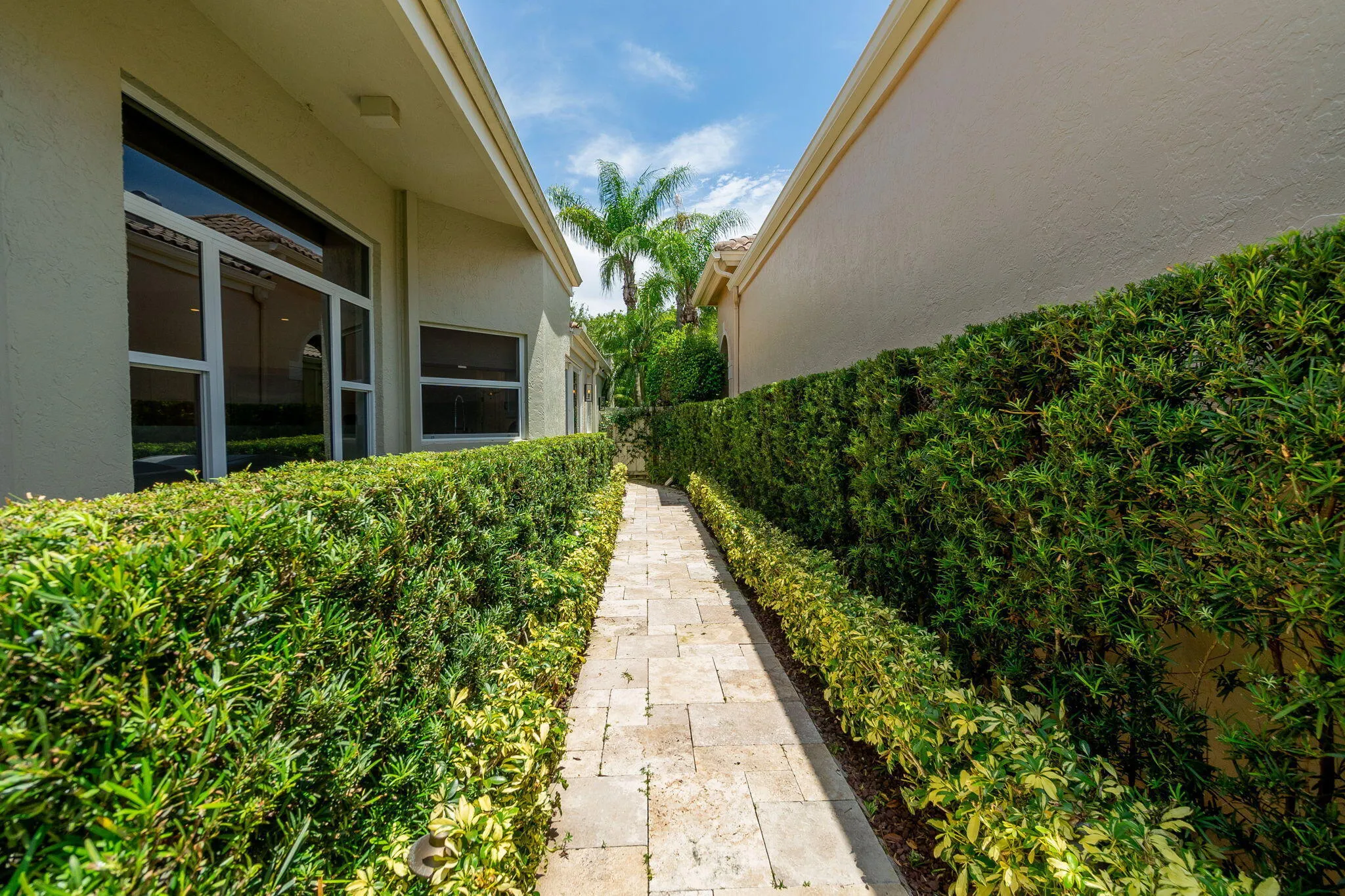 36-web-or-mls-DSC00736