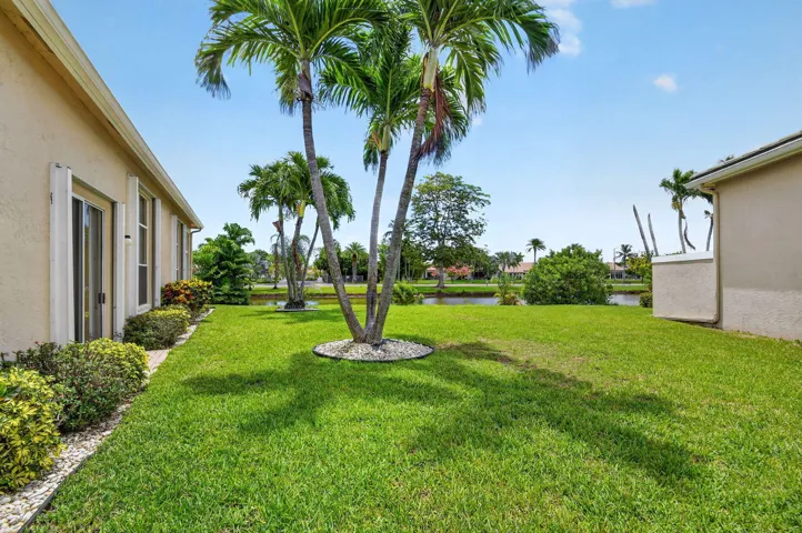 side yard