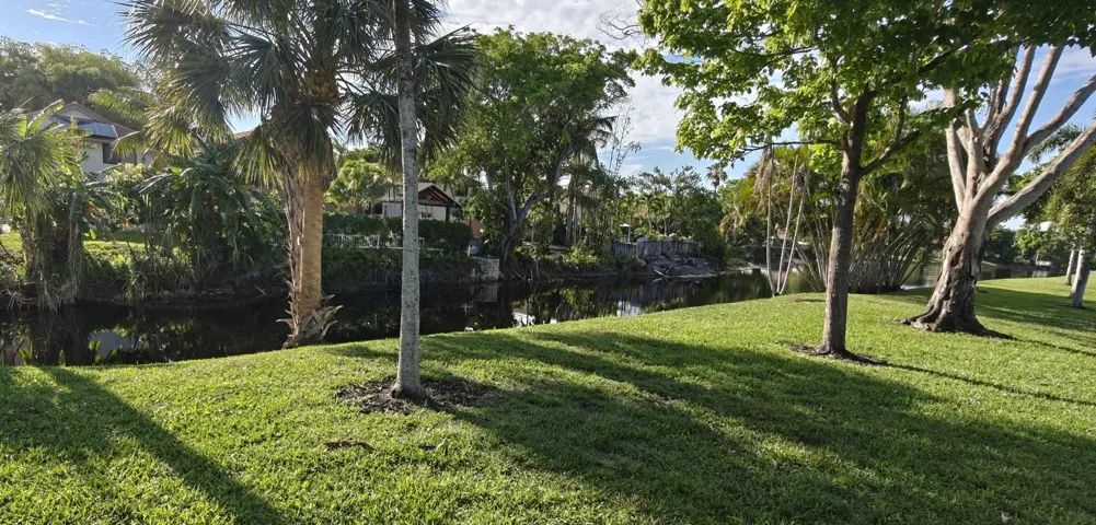 View from backyard