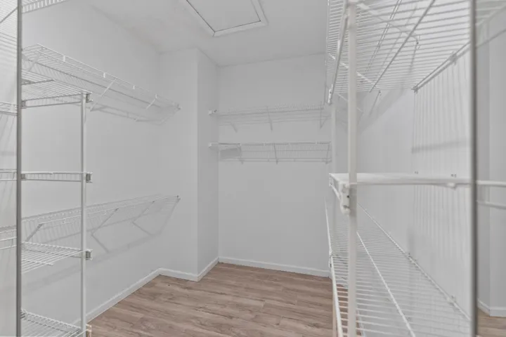 Huge walk-in closet and 2nd wall closet opposite this one.