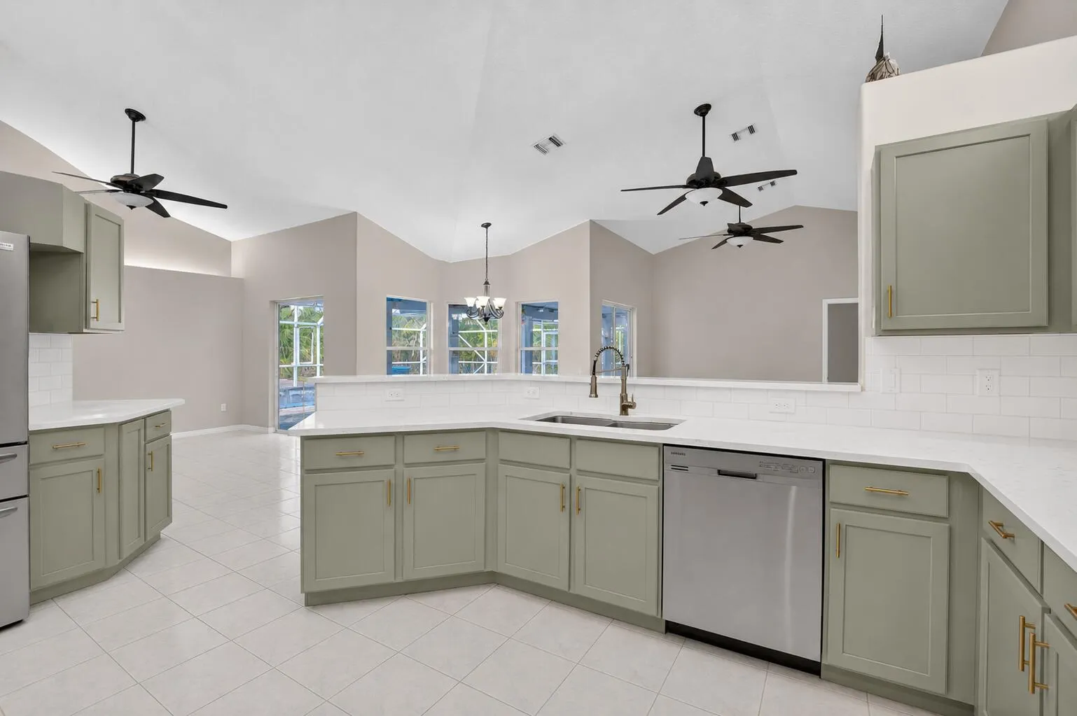 Potential Kitchen remodeling