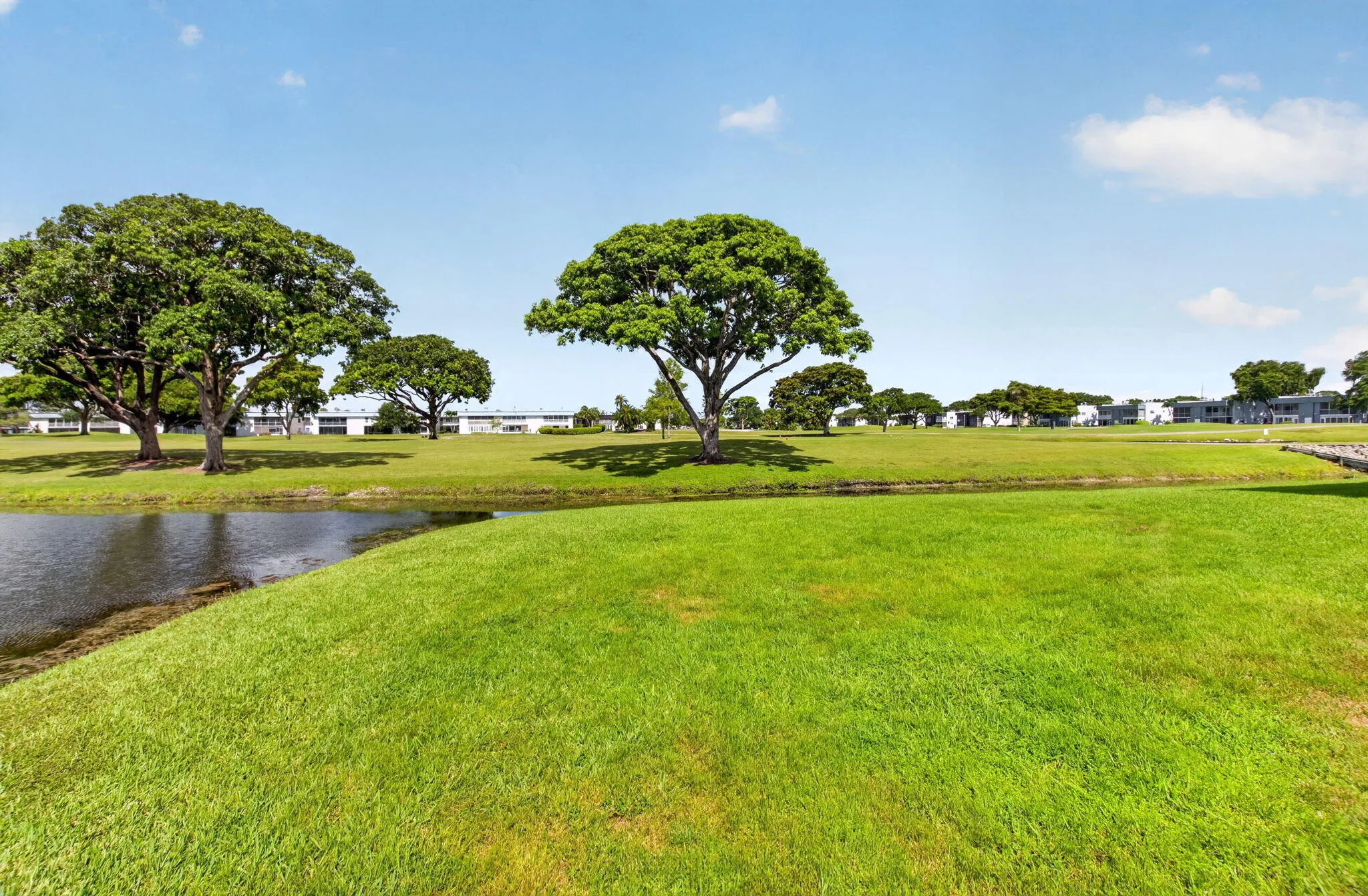 GREENSPACE VIEWS
