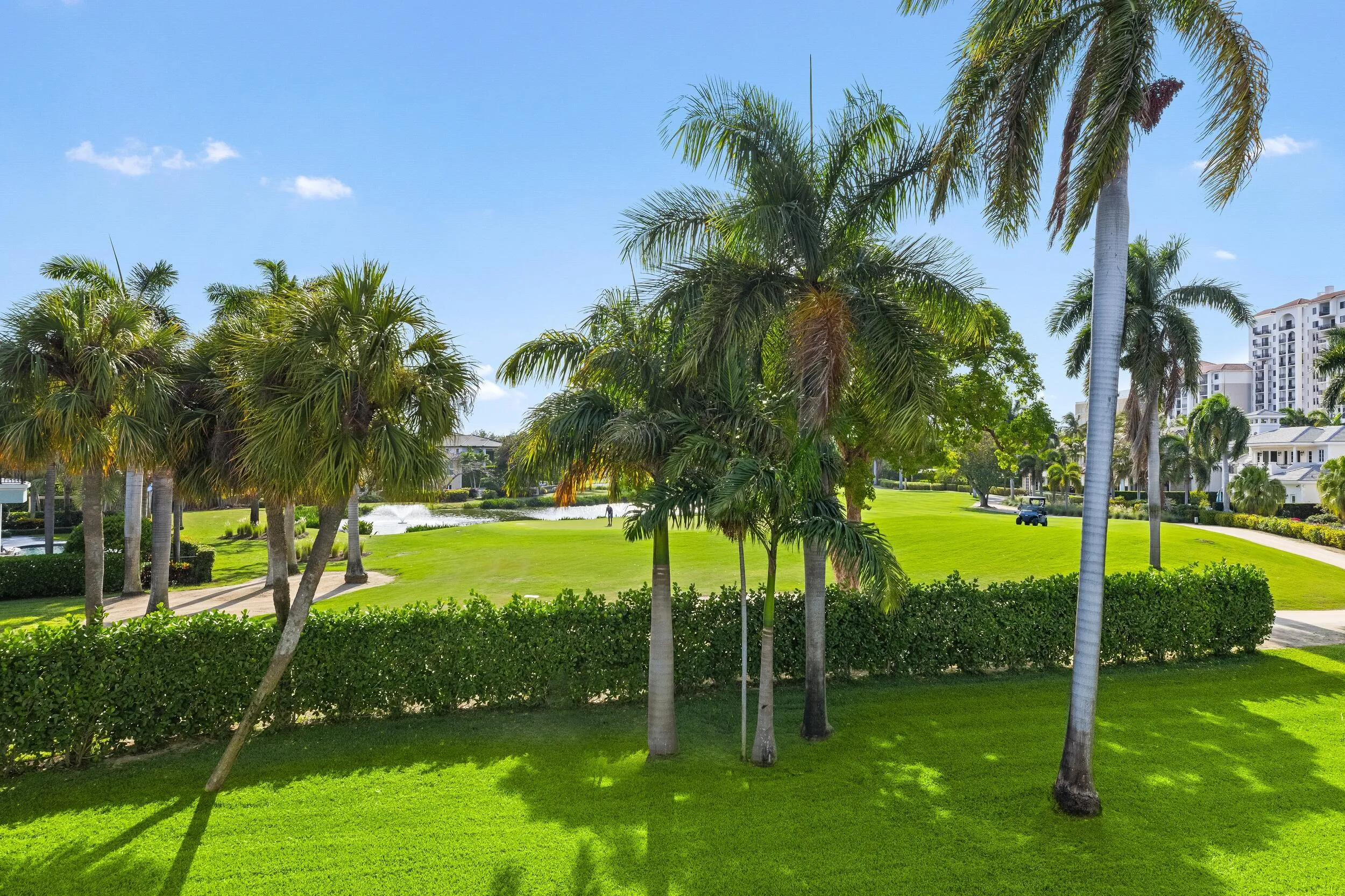 Terrace View