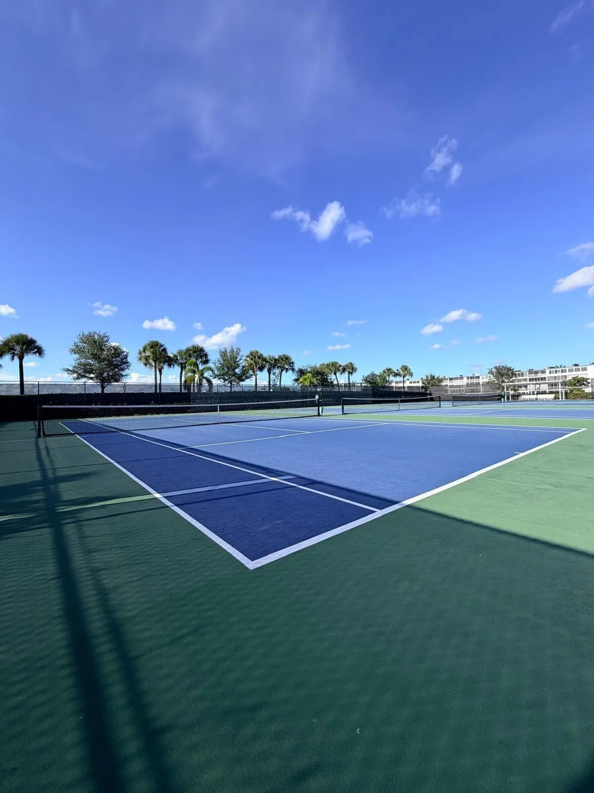 CANCHA DE TENNIS 316 DORSET DR