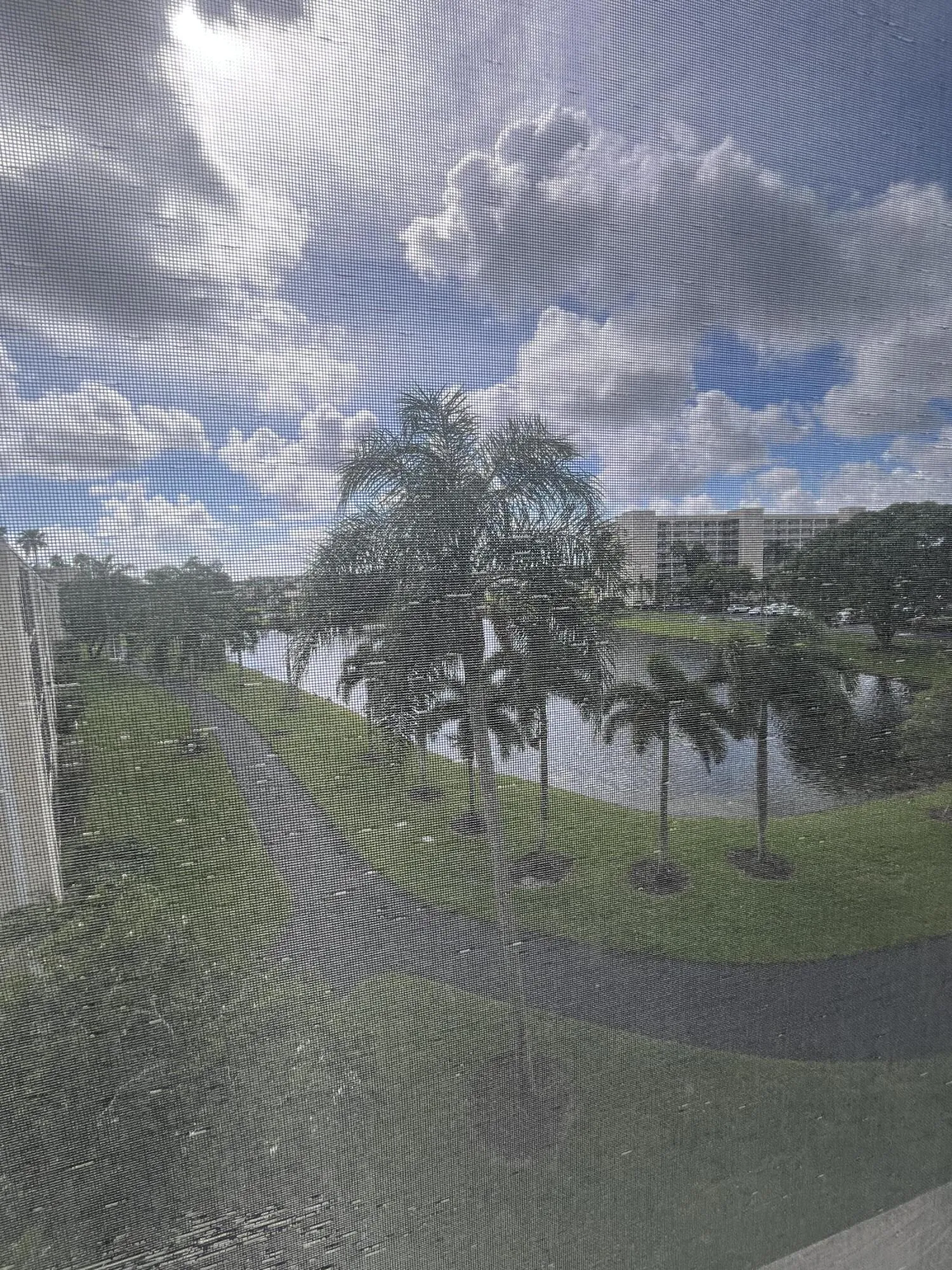 patio view